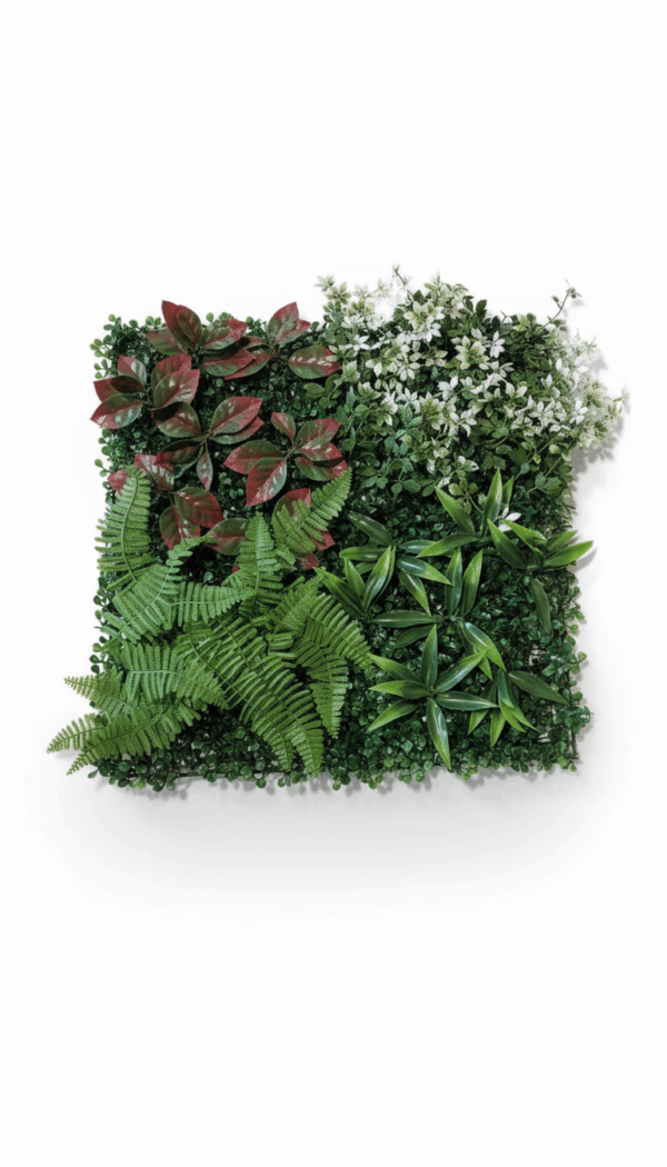 VEGETAL V6