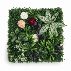 VEGETAL V2