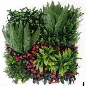 VEGETAL V6 – Image 2