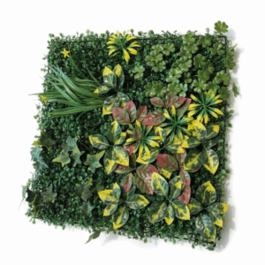 VEGETAL V4