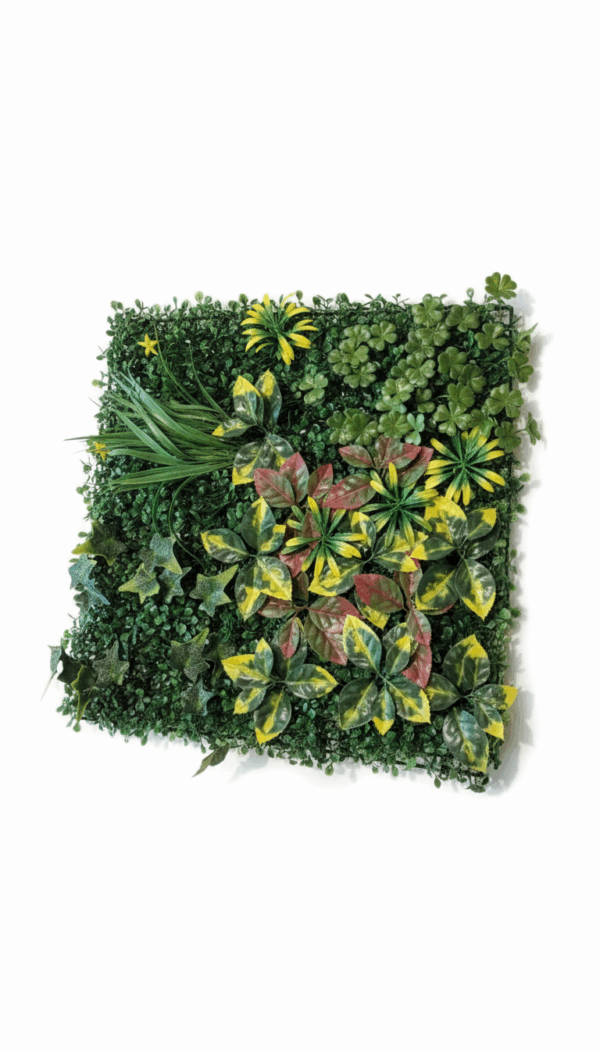 VEGETAL V4