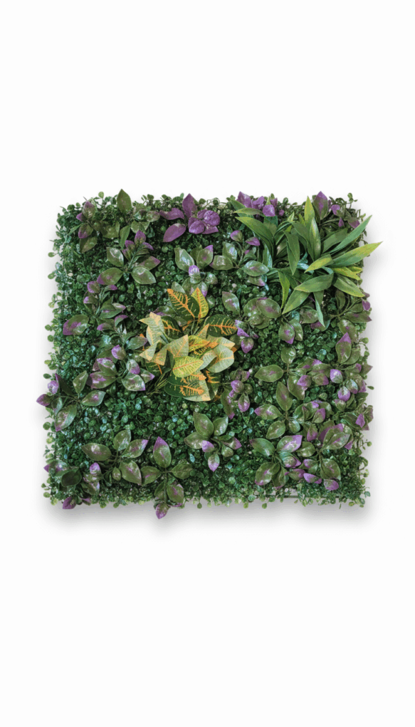 VEGETAL V5