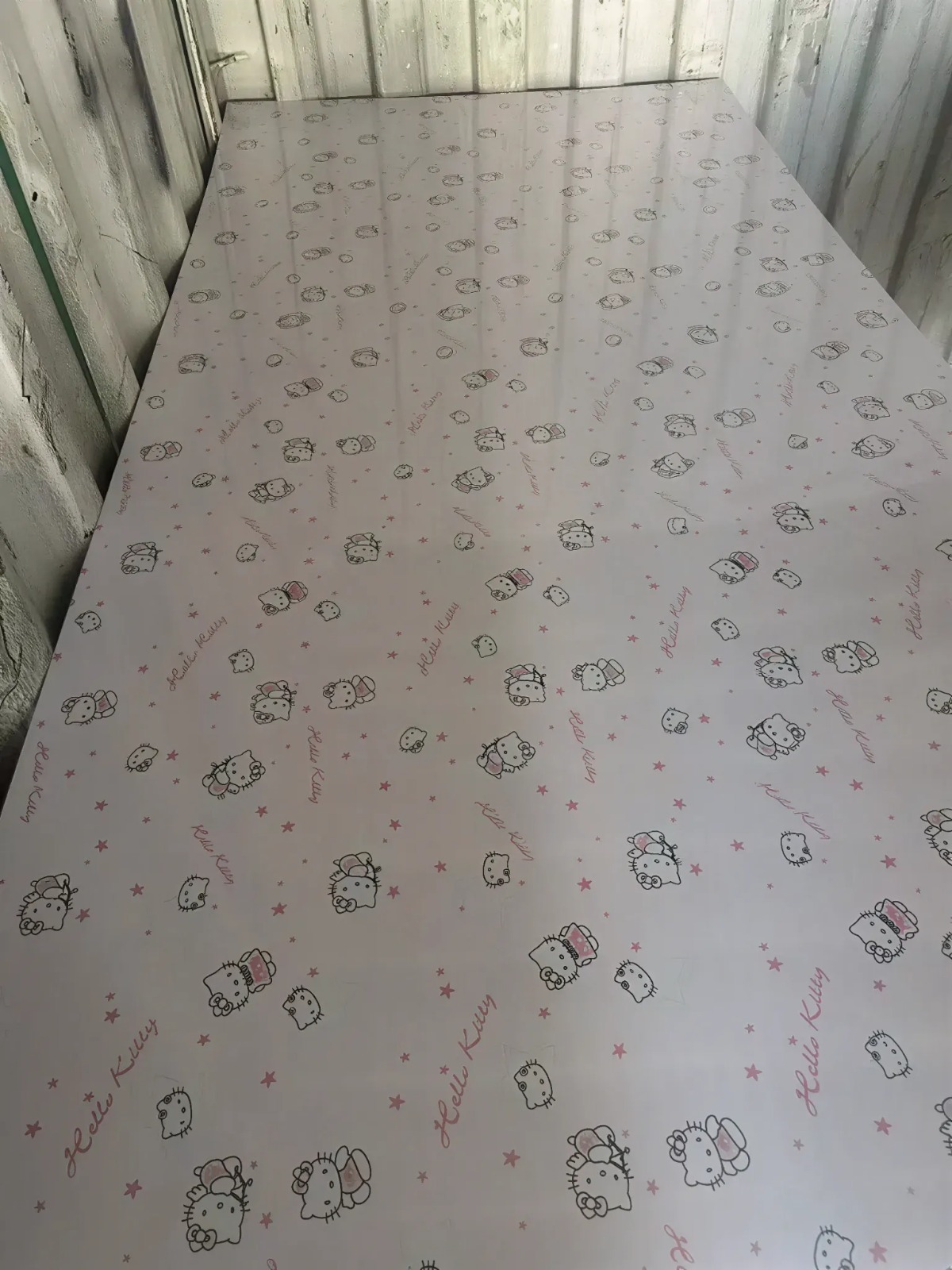 Hello kitty rose