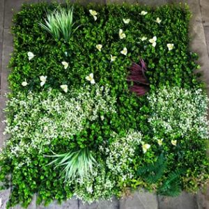 VEGETAL V3 1m*1m